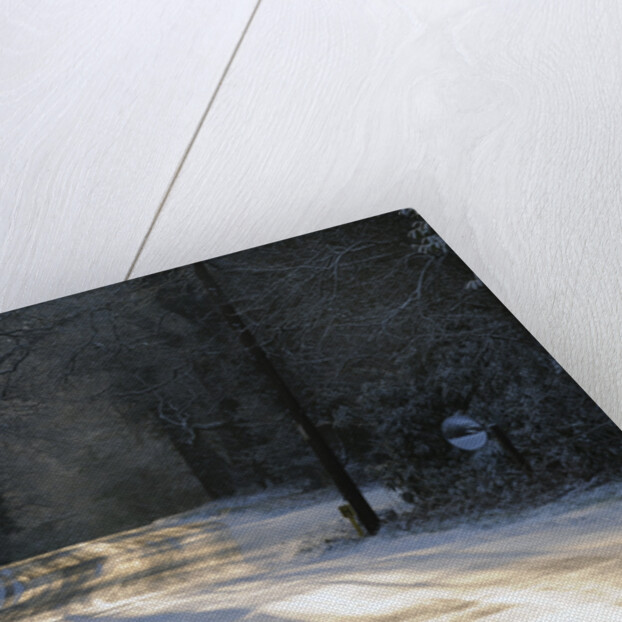 Sun glinting off an icy road in the New Forest 2009 by Unknown