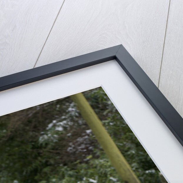 2001 Land Rover Freelander driving on icy road by Unknown