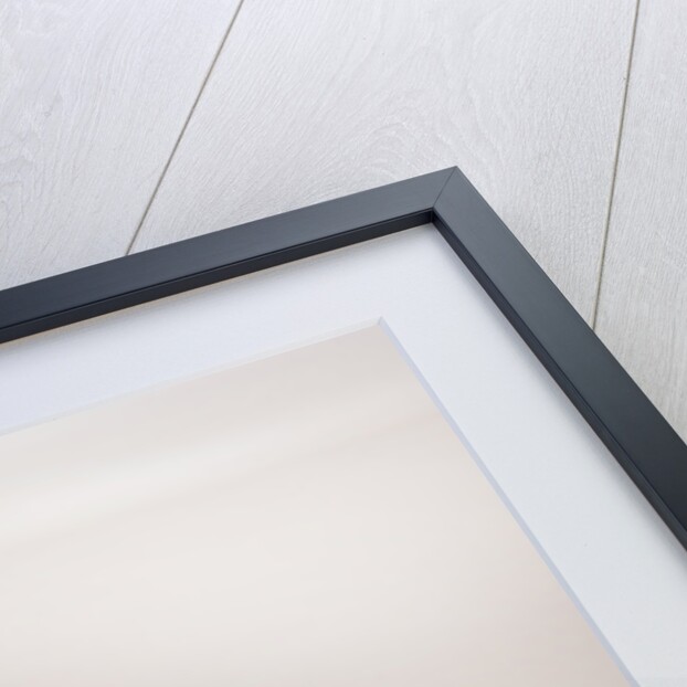 2006 Toyota Yaris by Unknown