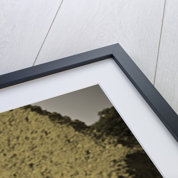 1965 Austin Mini Cooper S by Unknown