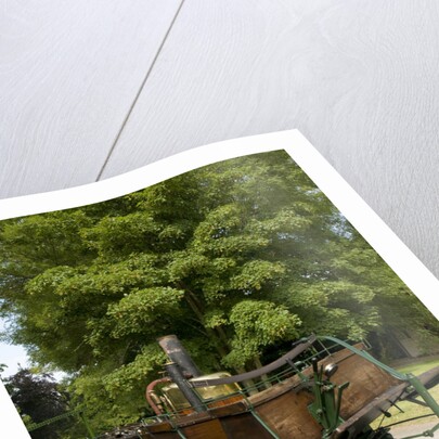 1875 Grenville Steam Carriage by Unknown