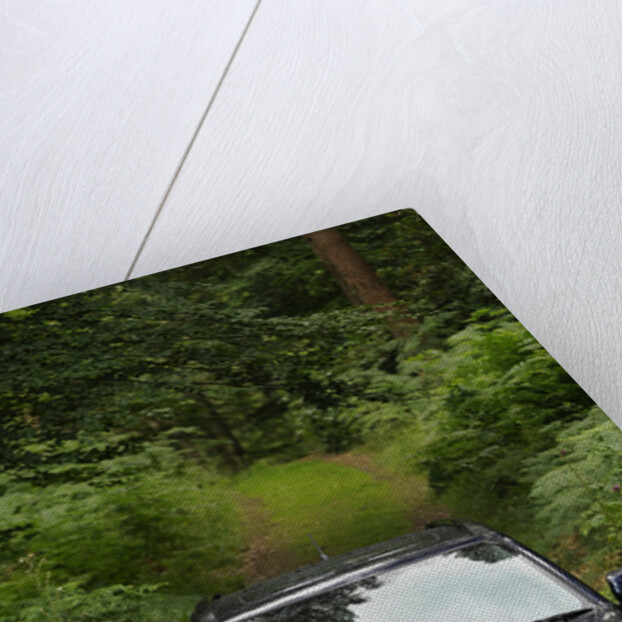 2009 Suzuki Grand Vitara by Unknown