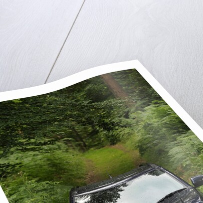 2009 Suzuki Grand Vitara by Unknown