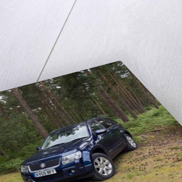 2009 Suzuki Grand Vitara by Unknown