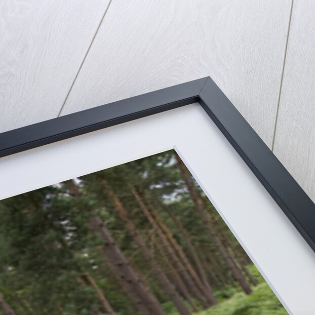 2009 Suzuki Grand Vitara by Unknown