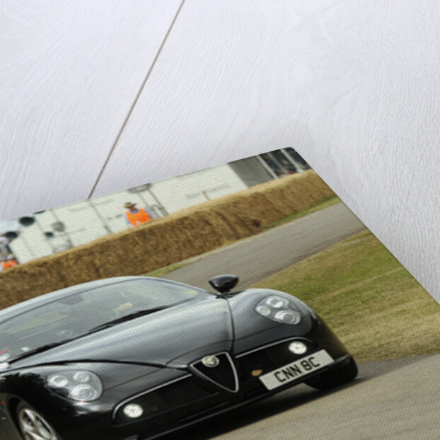 2009 Alfa Romeo Competizione by Unknown