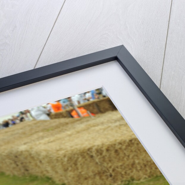 2009 Ariel Atom at 2009 Goodwood Festival of speed by Unknown