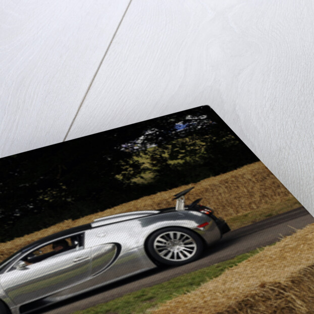 2009 Bugatti Veyron Pur Sang by Unknown