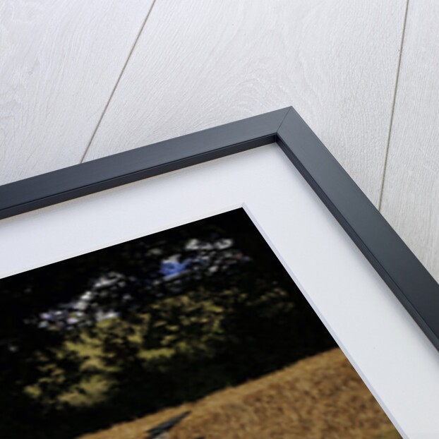 2009 Bugatti Veyron Pur Sang by Unknown