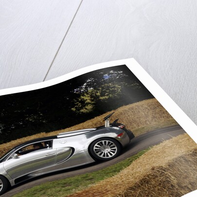 2009 Bugatti Veyron Pur Sang by Unknown