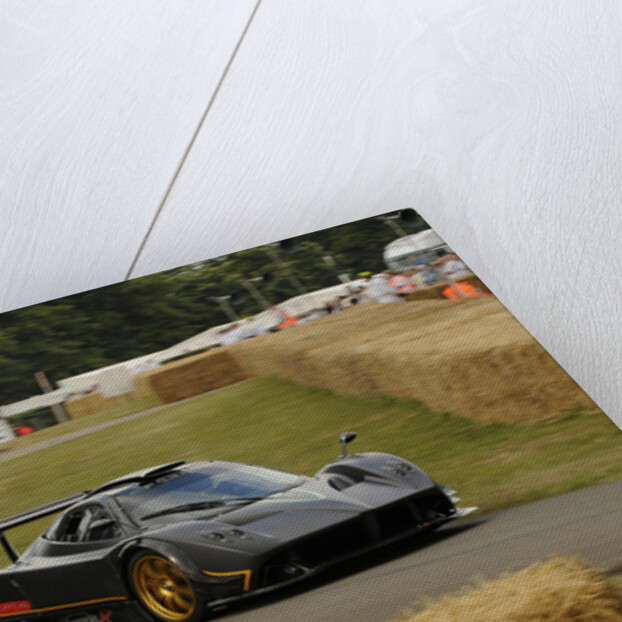 2009 Pagani Zonda R, Goodwood Festival of Speed by Unknown