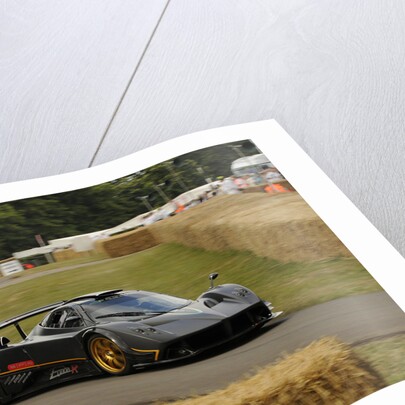 2009 Pagani Zonda R, Goodwood Festival of Speed by Unknown