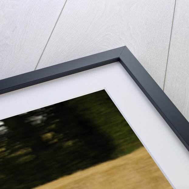 2009 Stile Bertone Mantide by Unknown