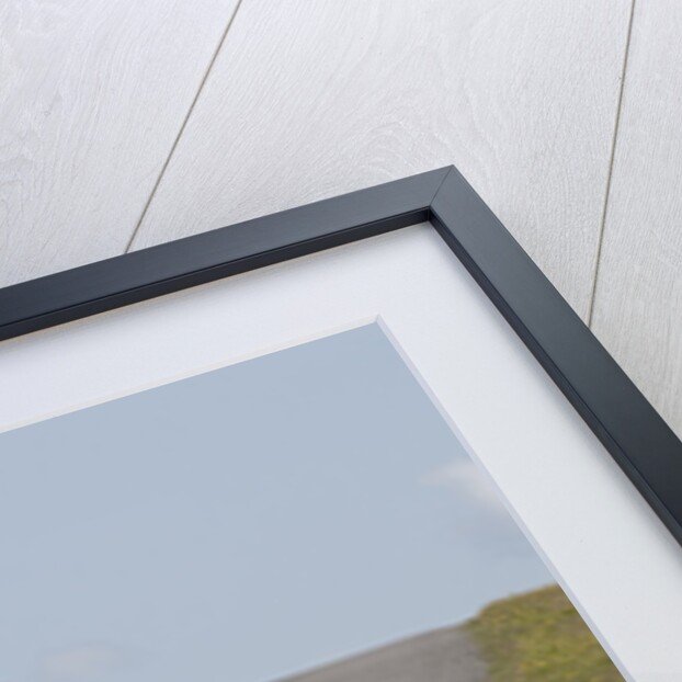 2009 Suzuki Swift Sport by Unknown