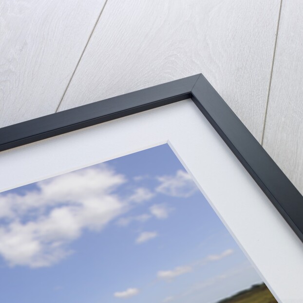 2009 Suzuki Swift Sport by Unknown