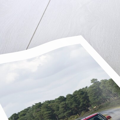 2009 Suzuki Swift Sport by Unknown