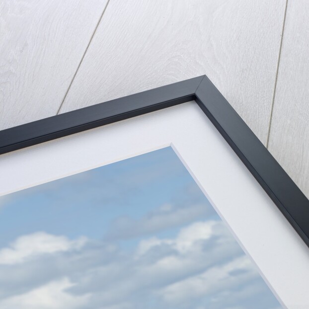 2009 Suzuki Swift Sport by Unknown