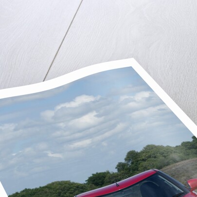 2009 Suzuki Swift Sport by Unknown