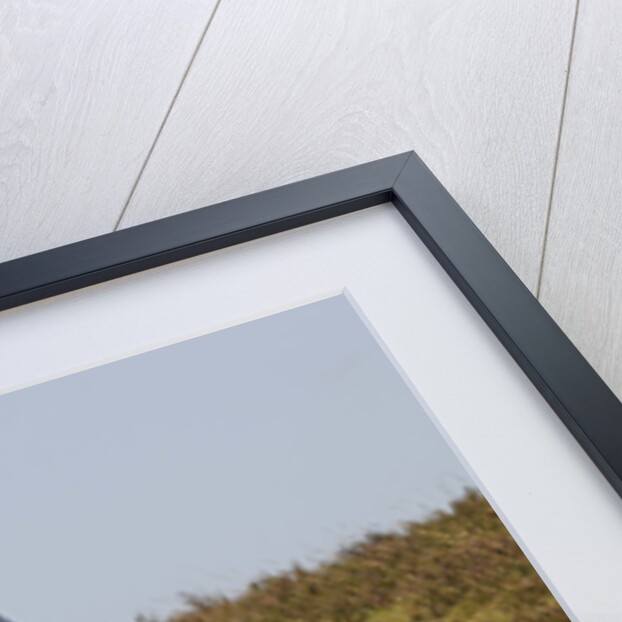 2009 Suzuki Swift Sport by Unknown