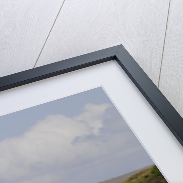 2009 Suzuki Swift Sport by Unknown