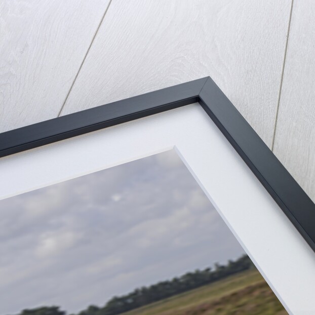 2009 Suzuki Swift Sport by Unknown