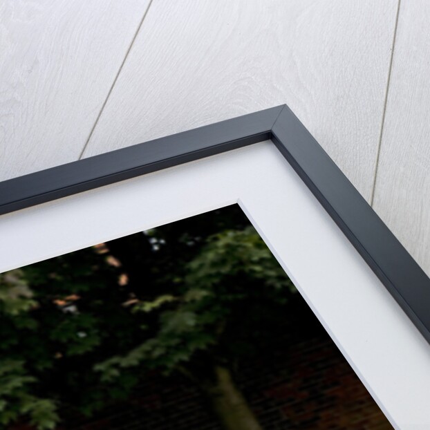 2009 Suzuki SX4 by Unknown