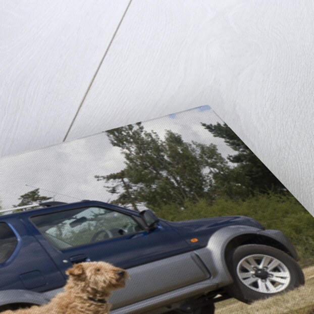 2009 Suzuki Jimny SZ4 with pet dog by Unknown