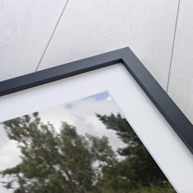 2009 Suzuki Jimny SZ4 with pet dog by Unknown