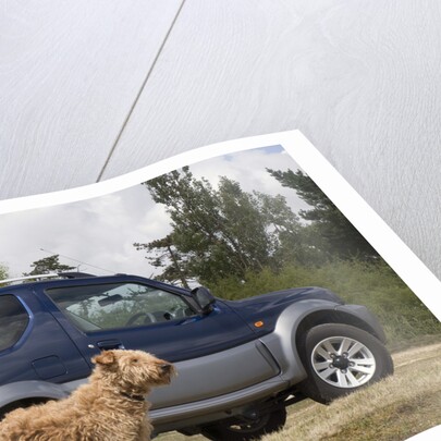 2009 Suzuki Jimny SZ4 with pet dog by Unknown