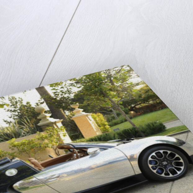 2009 Bugatti Veyron Sang Bleu by Unknown