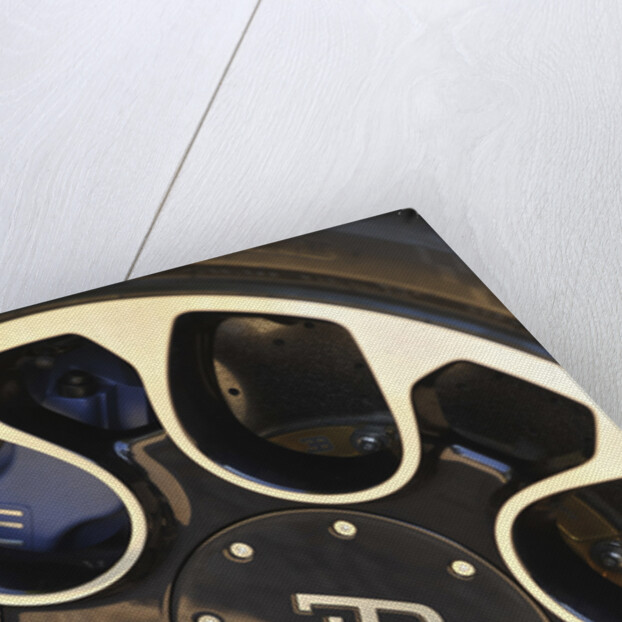 2009 Bugatti Veyron Sang Bleu by Unknown