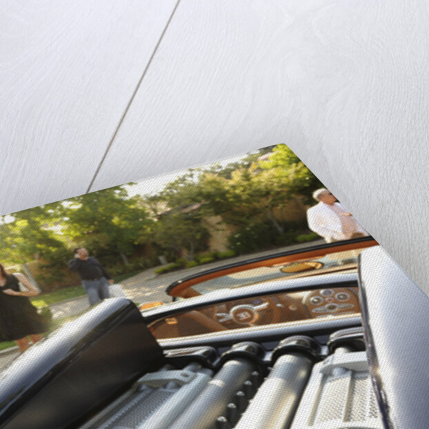 2009 Bugatti Veyron Sang Bleu by Unknown