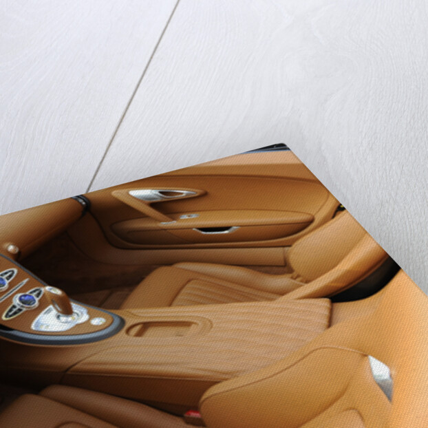 2009 Bugatti Veyron Sang Bleu by Unknown