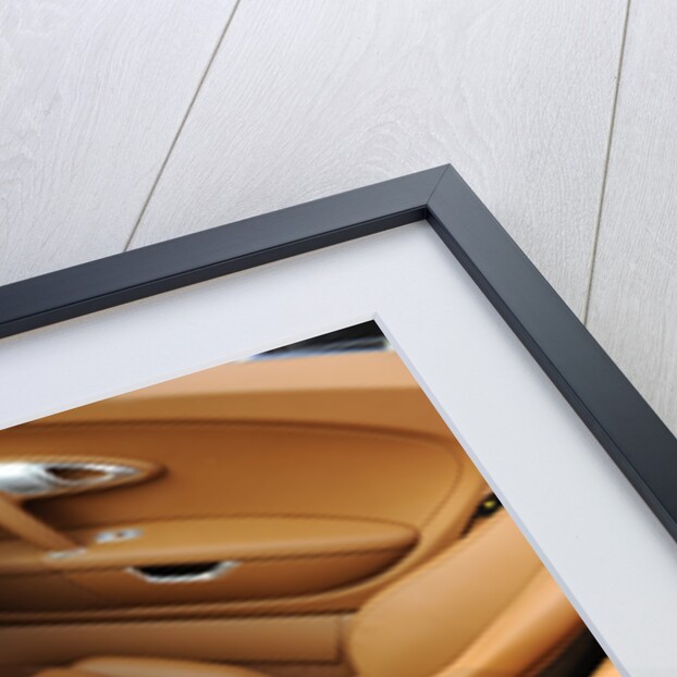 2009 Bugatti Veyron Sang Bleu by Unknown