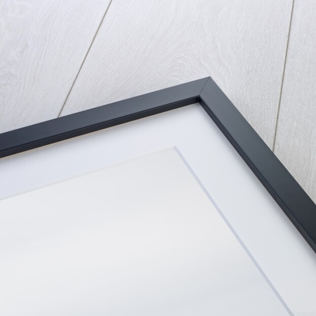 2009 Toyota HiLux pick up truck by Unknown