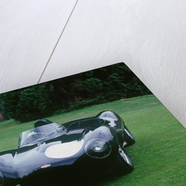 1955 Jaguar D type by Unknown