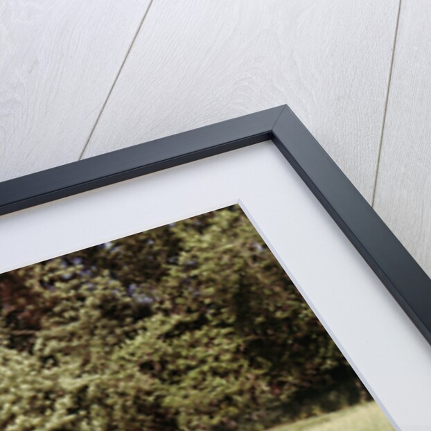 1949 Austin A40 Devon by Unknown