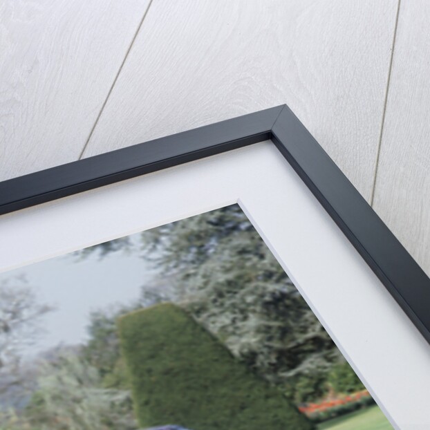 1984 Austin Montego by Unknown