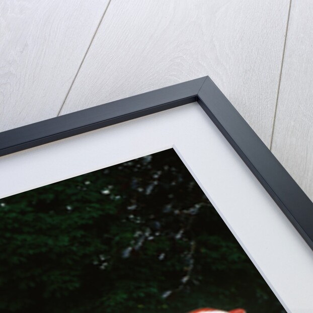 1967 Ferrari 330 P4 by Unknown