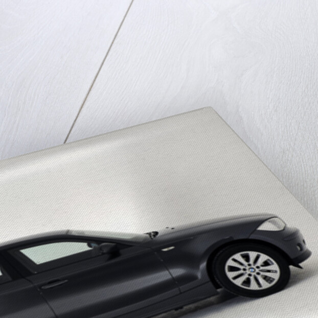 2006 BMW 116i by Unknown