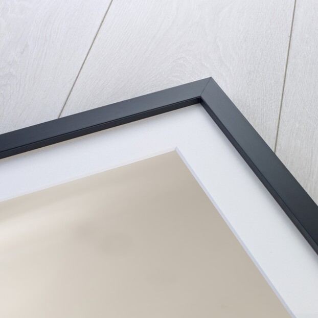 2005 Lexus IS 220d by Unknown