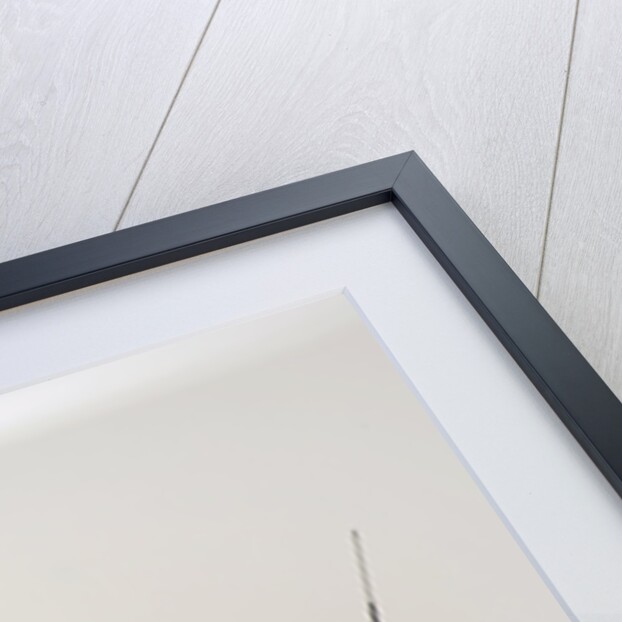 2005 Mazda MX5 by Unknown