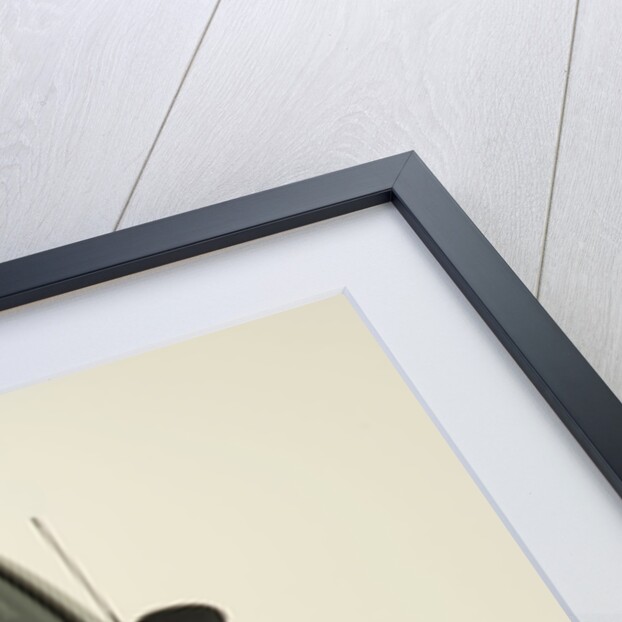 2001 Smart car by Unknown