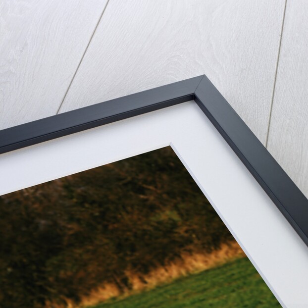 1950 Healey Silverstone by Unknown