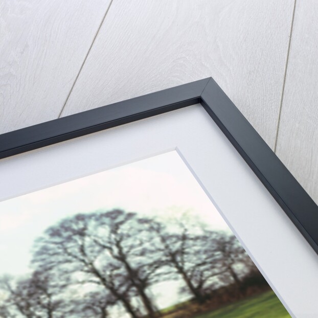 1950 Healey Silverstone by Unknown