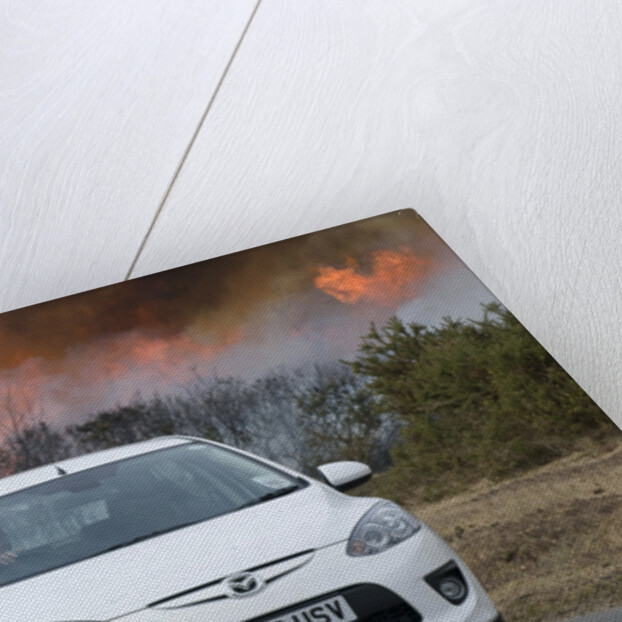 2010 Mazda 2 Sport, controlled burning in New Forest by Unknown