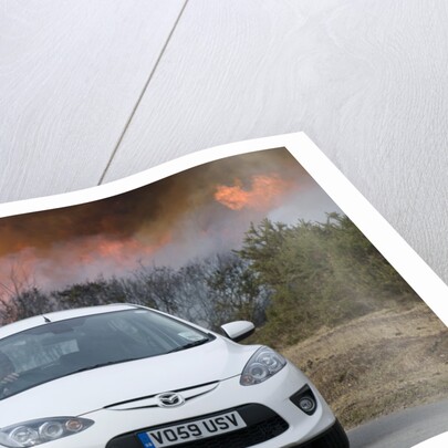 2010 Mazda 2 Sport, controlled burning in New Forest by Unknown