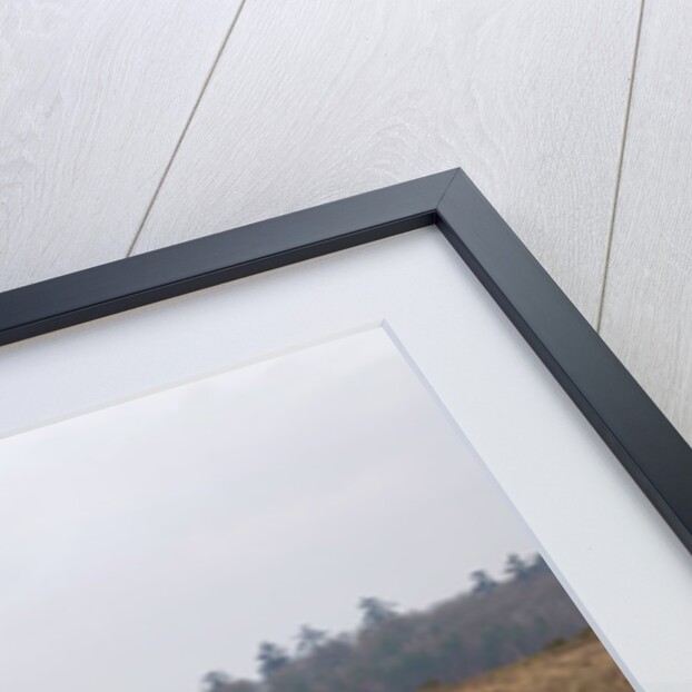 2010 Mazda 2 Sport by Unknown