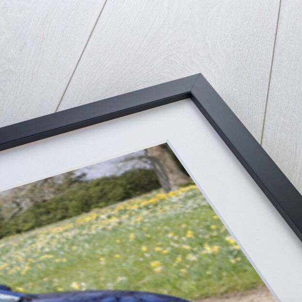 2010 Mazda 6 SL Estate by Unknown