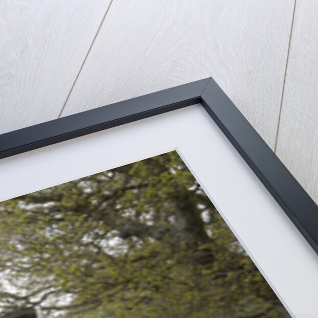 Road resurfacing work repairing potholes by Unknown